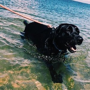 Meet your Posher, Maura